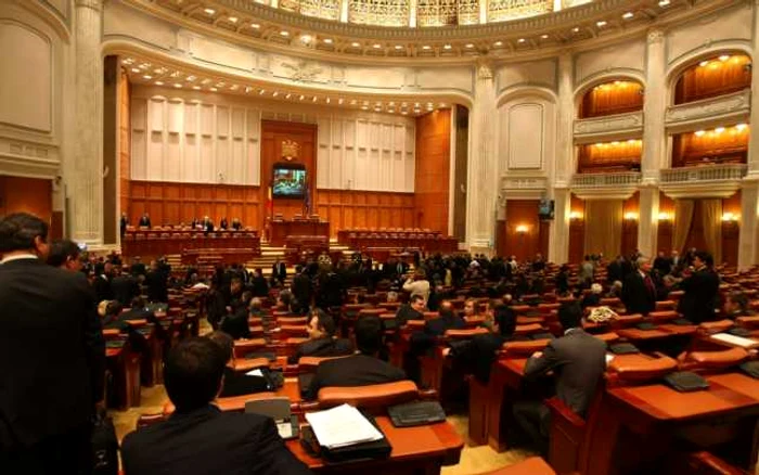 ARD şi PPDD intră în Parlament din partea Constanţei FOTO Adevărul