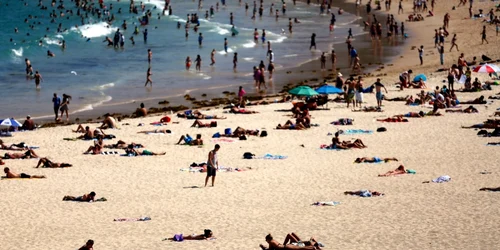 Oameni se bronzează pe plaja Coogee în Sydney Australia FOTO Guliver/Getty Images