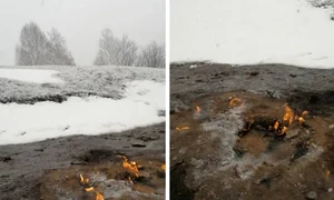 terca   buzau 0 jpeg