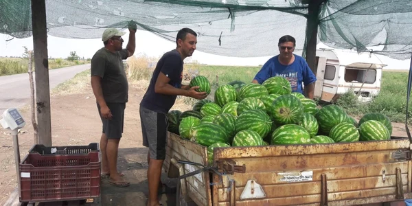 A început sezonul lubeniţei de Gottlob FOTO Ştefan Both