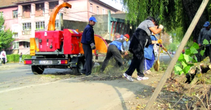 Reşiţa: Angajaţii primăriei au început curăţenia de toamnă