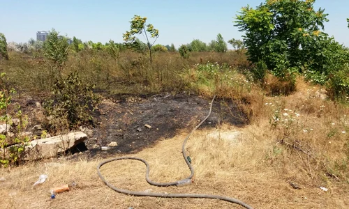 incendiu vacaresti jpeg