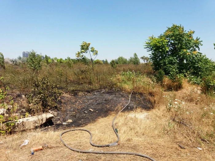 
    Incendiul a afectat 3.000 de metri pătraţi de vegetaţie uscată  
