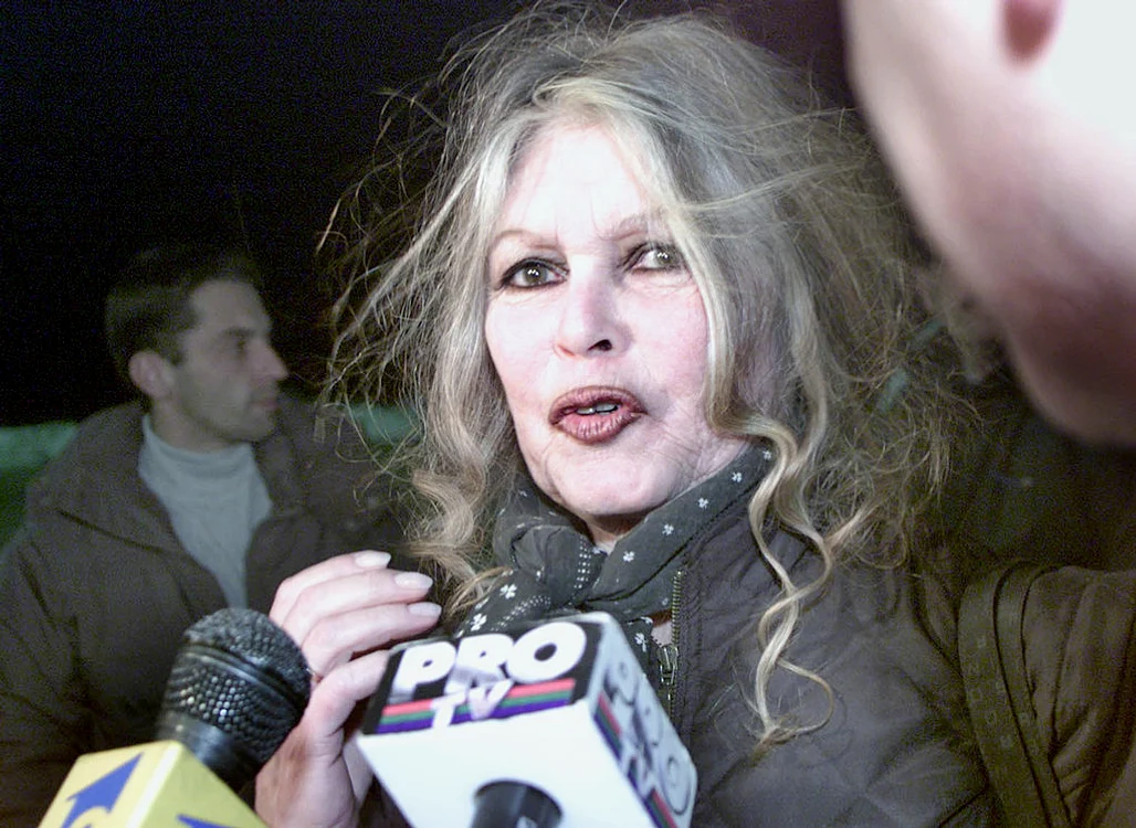 Brigitte Bardot trebuie să scoată din buzunar 20.000 de euro pentru niște afirmații deranjante făcute acum doi aniFoto: Getty Images