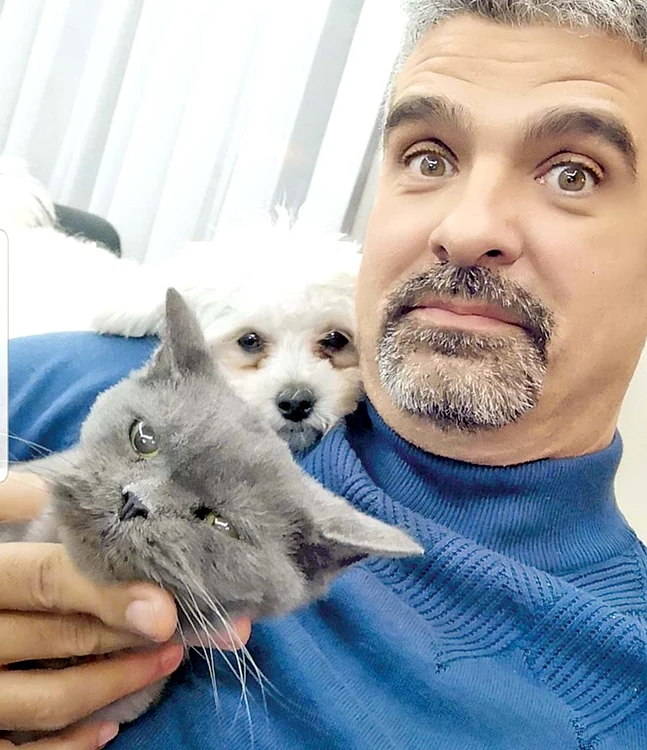 Aurelian Temişan  are un motan  din rasa Persan  Albastru (500 €)