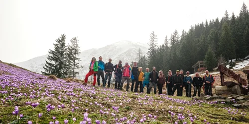 Tur ghidat pentru admirarea brândușelor prin programul Anii Drumeției din Sibiu Foto Anii Drumeției