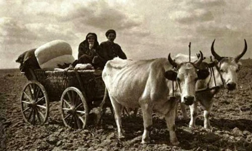 Radiografia comunei Albeşti din Argeș în anul 1941 jpeg