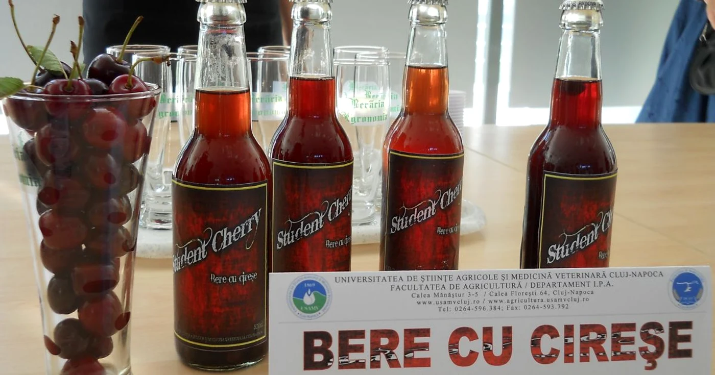 Berea cu cireşe, produsă în premieră în ţară de studenţii clujeni