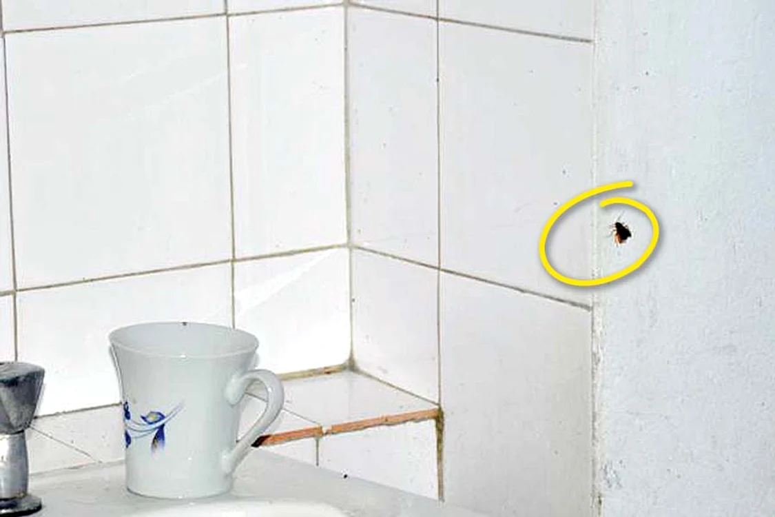 Bolnavii stau  înghesuiţi (FOTOGRAFII: informatiadeseverin.ro)