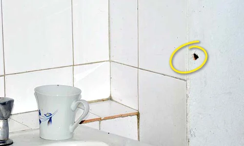 Bolnavii stau  înghesuiţi (FOTOGRAFII: informatiadeseverin ro) jpeg