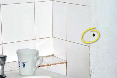 Bolnavii stau înghesuiţi (FOTOGRAFII: informatiadeseverin.ro)