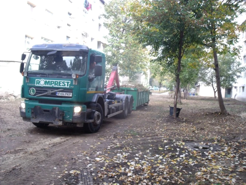 Firma Romprest a executat o lucrare la spaţii verzi în urma căreia totul s-a uescat FOTO: Ştefan Borcea