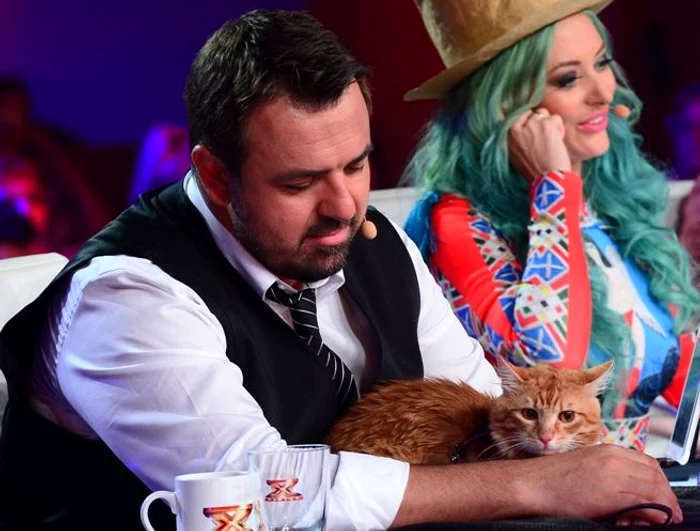 
    Brenciu a avut grijă de pisică în timpul momentului artisticFoto: Antena 1  