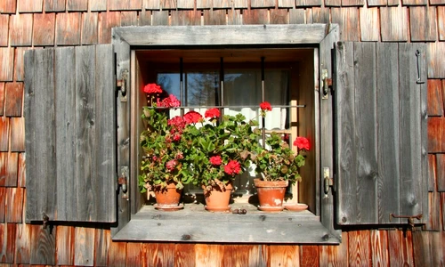 1 68773 original jpg jpeg