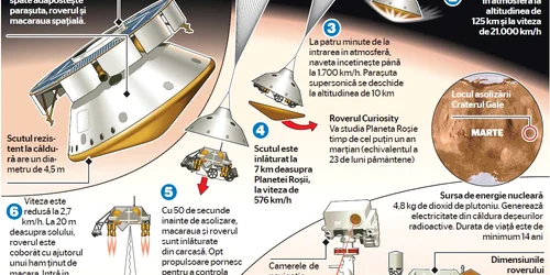 infografie