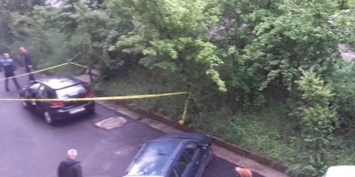 masina Fratii Golesti