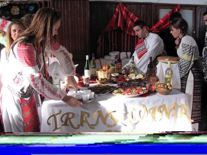 Festivalul Vinului