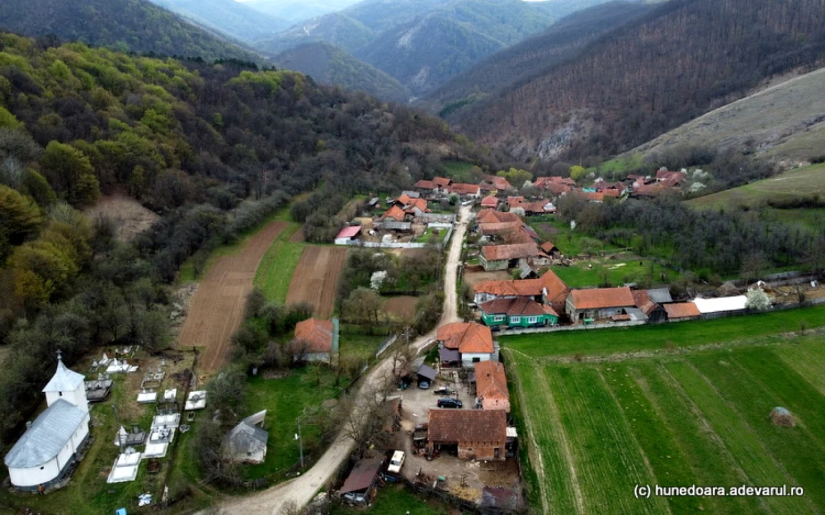 satul cutin dumbrava ciulpaz foto daniel guta adevarul
