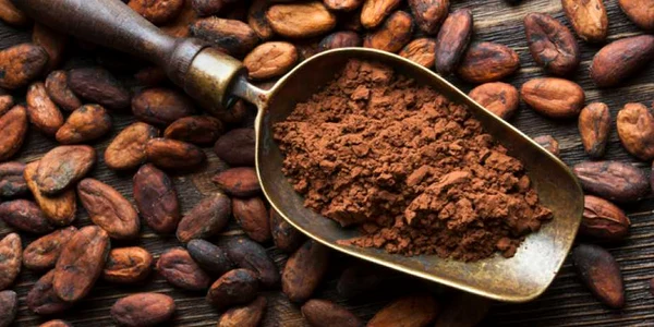 cacao