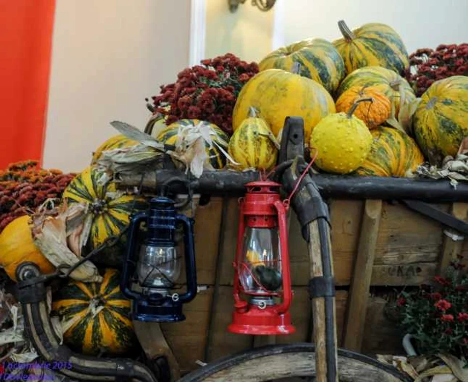 Festivalul Dovleacului de la Kikinda