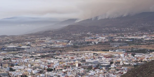 Incendiu de padure in Tenerife Foto EPA EFE