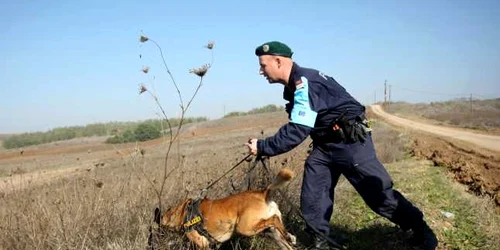 politie european