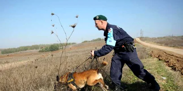 politie european