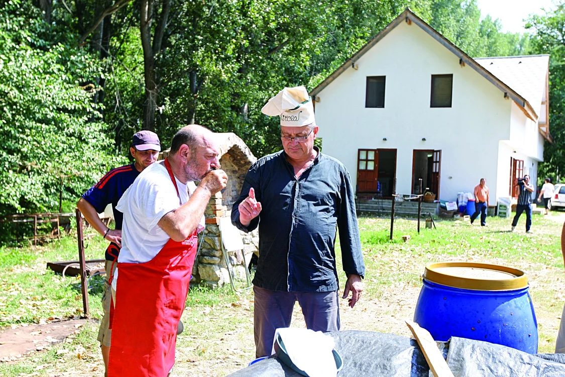 dinescu si tuica