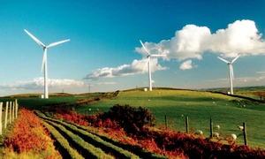 Cît de verde e energia verde? jpeg