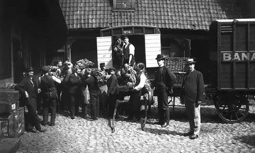 historia ro undefined jpeg