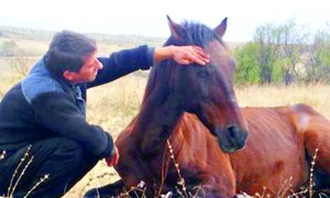 CLIIMA20121021 0050 1 jpeg