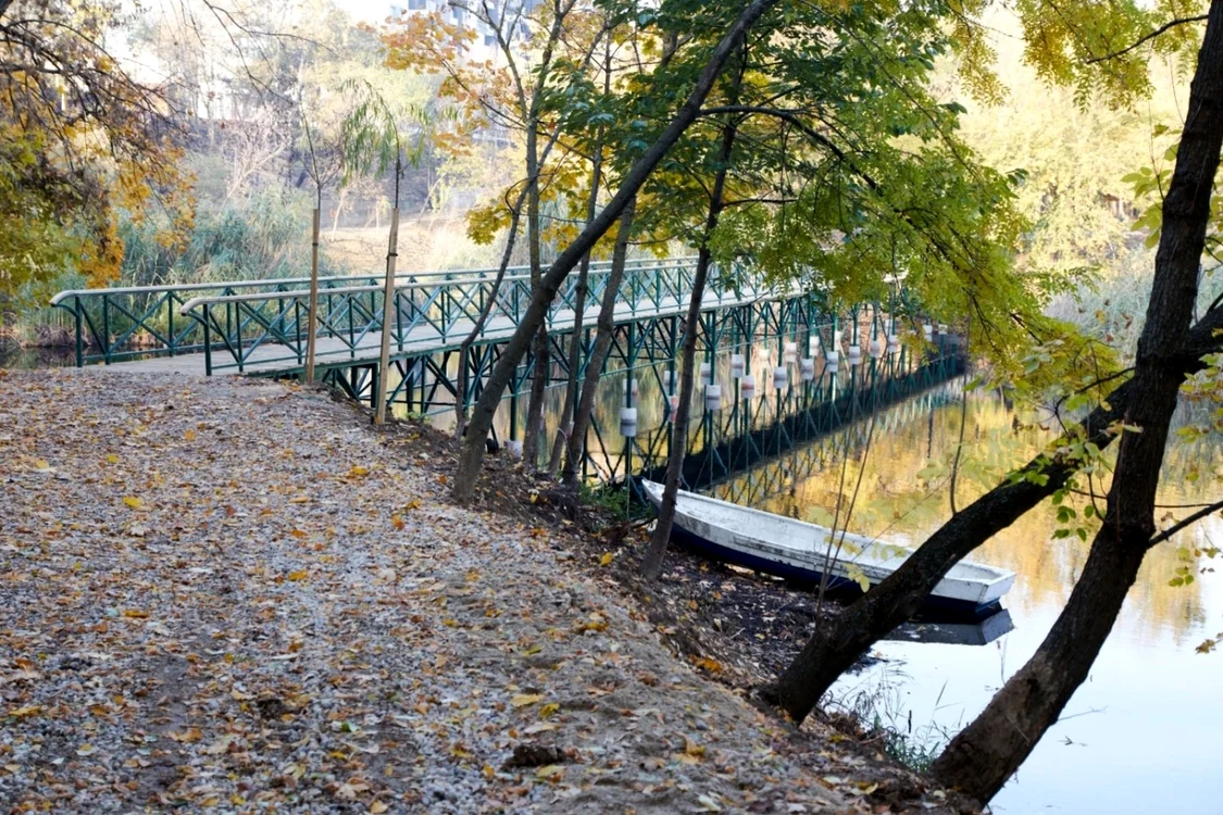 FOTO: Primăria Sectorului 2
