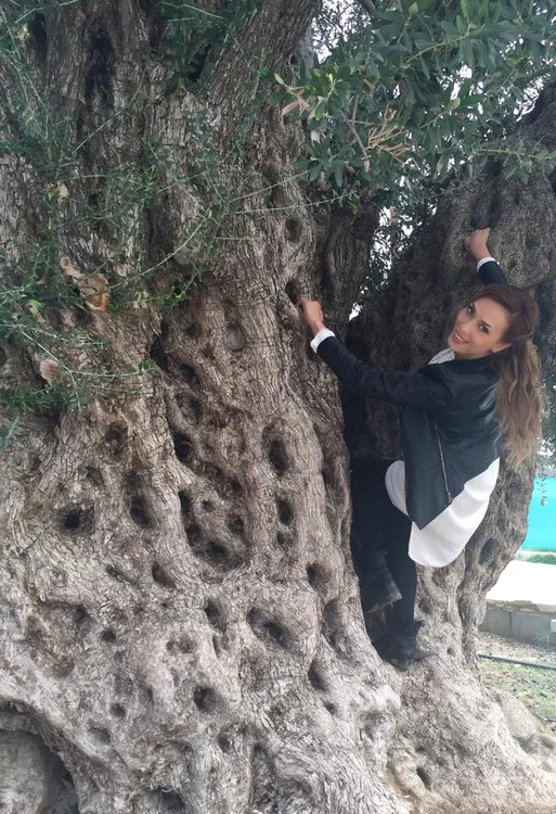 Iulia Vântur a ales să se urce într-un măslin