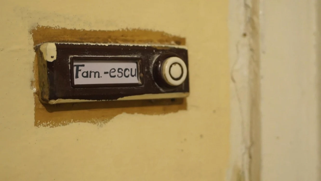 jurnalul familiei escu