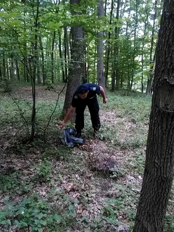 Zeci de jandarmi l-au cautat în pădurile din comuna Răzvad, ajutaţi de vecinii bătrânului dar şi de rudele acestuia.
