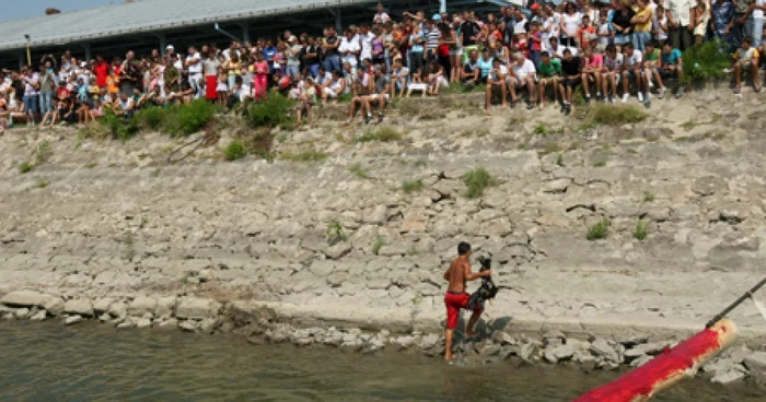 Craiova: O raţă i-a pus la grele încercări pe marinari la Bechet (GALERIE FOTO)