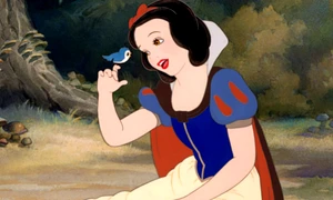 6 alba ca zapada jpg jpeg