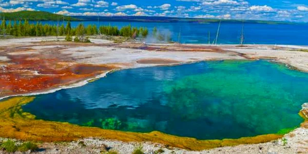 Parcul Yellowstone din SUA. shutter