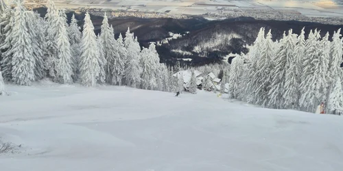 608655289 1298382939002659 1787578367013750557 n jpg