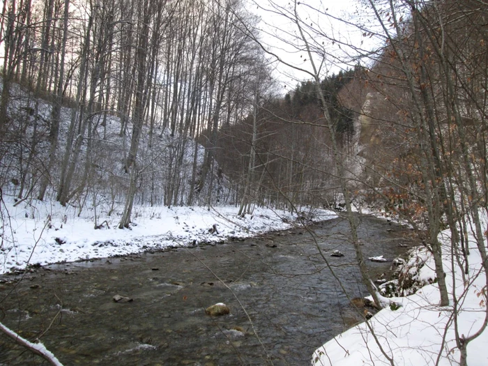 Crima în numele aurului ascuns de conducătorii Ţării Româneşti la manastirea Iezer