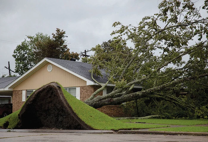 Incendiile de vegetaţie de lângă San Diego, California, au pârjolit totulFoto: Gettyimages