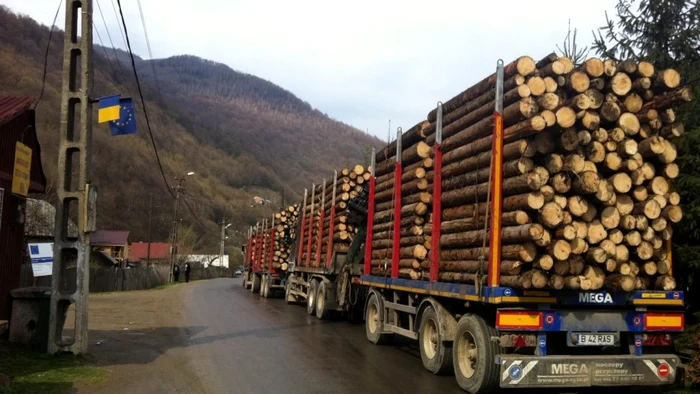 Poliţia a efectuat controale în toată ţara FOTO Adevărul