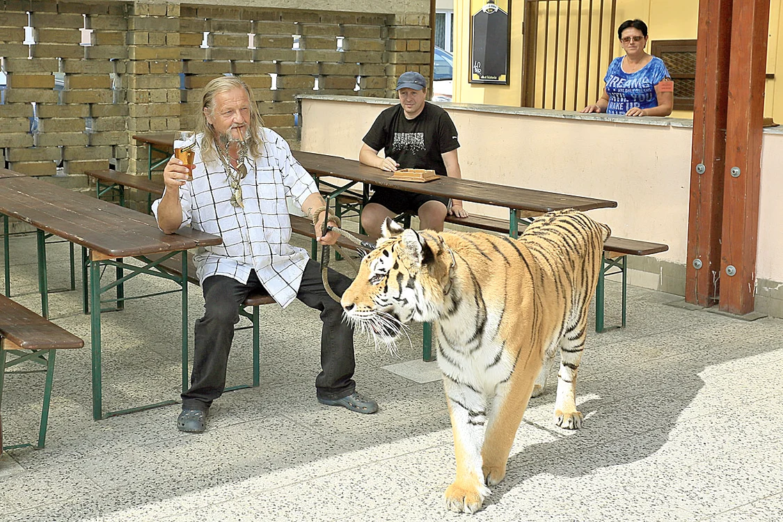 Jaromir Joo şi-a serbat ziua împreună cu Taiga la o terasăFoto: AFP