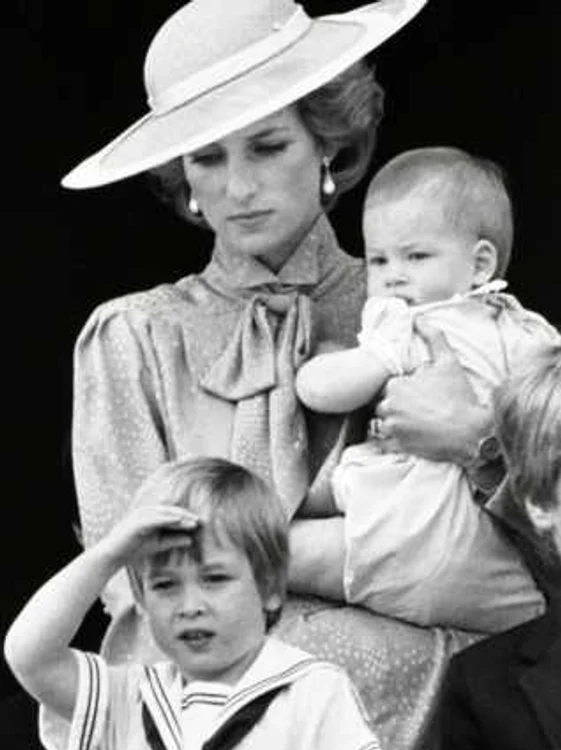 lady di