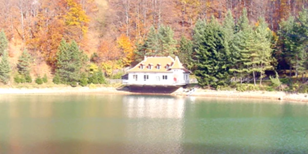 Relaxare şi aventură prin silvoturism