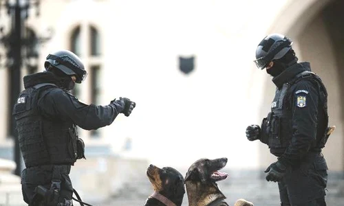Unii câini pensionari au fost luați acasă de polițiștii cu care au lucrat jpeg