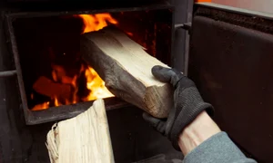 Shutterstock 2119424288 jpg