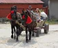 hunedoara