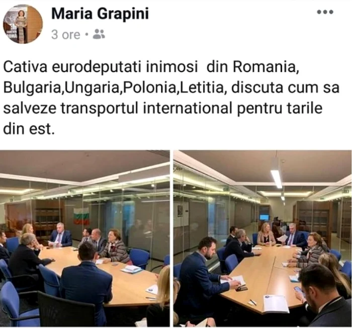 Așa arată postarea Mariei Grapini de pe Facebook