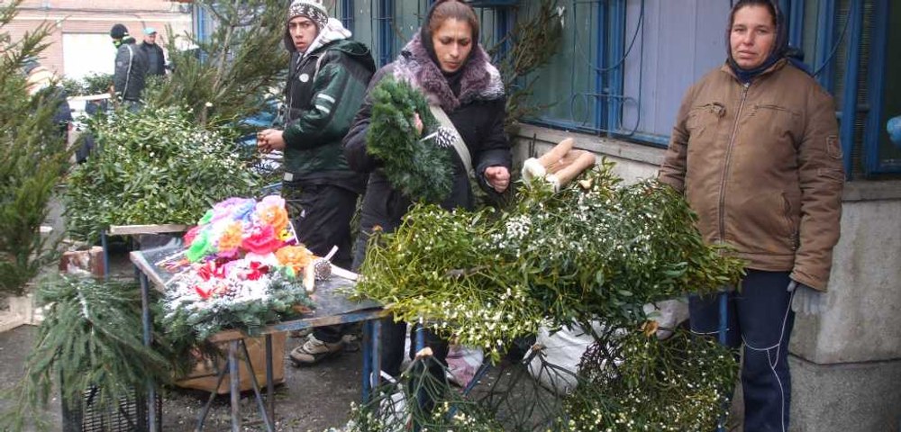 Cât a ajuns să coste o crenguță de vâsc. „Am luat-o razna de tot, înainte dădeam maxim doi lei“